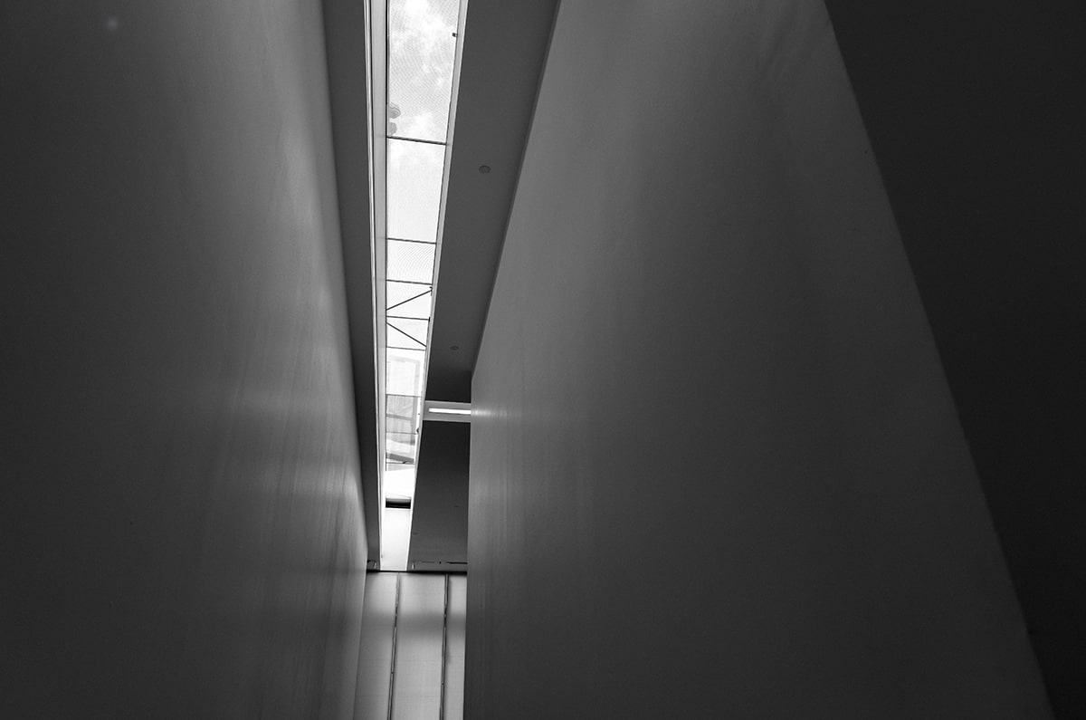 生活科普知识内容大全简短五年级：解锁日常科学奥秘，让学习变有趣