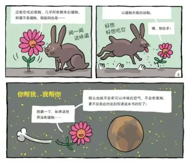 生活科普片有哪些?精选适合3-12岁孩子的科普启蒙与进阶片单,激发科学兴趣与探索精神 生活科普片有哪些?精选适合3-12岁孩子的科普启蒙与进阶片单,激发科学兴趣与探索精神