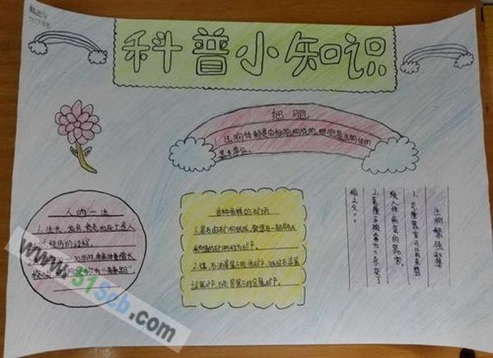 生活科普小知识手抄报内容制作指南:轻松打造科学有趣的手抄报 生活科普小知识手抄报内容制作指南:轻松打造科学有趣的手抄报