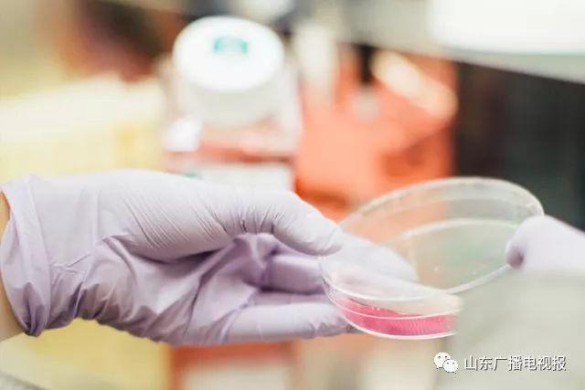 科普生活app:你的随身科学顾问,让知识获取像呼吸一样简单 科普生活app:你的随身科学顾问,让知识获取像呼吸一样简单