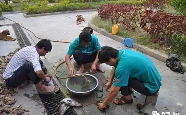 生活科普小知识：高效时间管理+居家整理+智能工具+健康饮食全攻略，让日子过得更顺畅