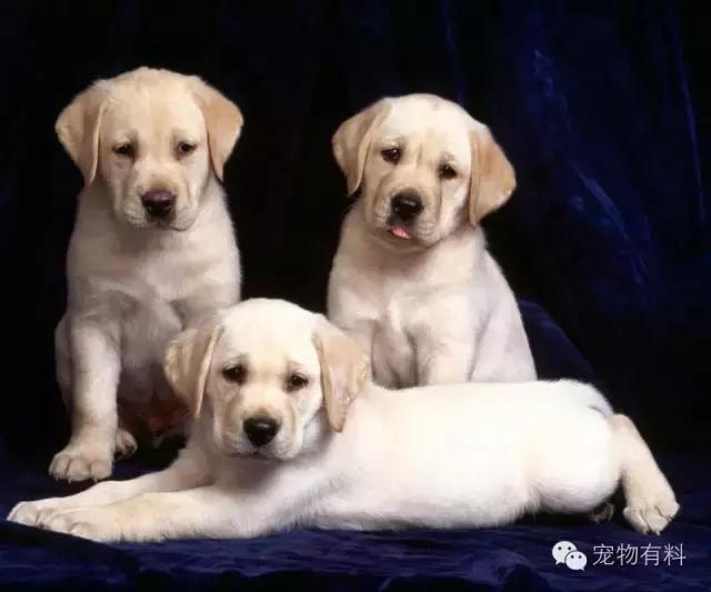 生活科普小知识：高效时间管理+居家整理+智能工具+健康饮食全攻略，让日子过得更顺畅