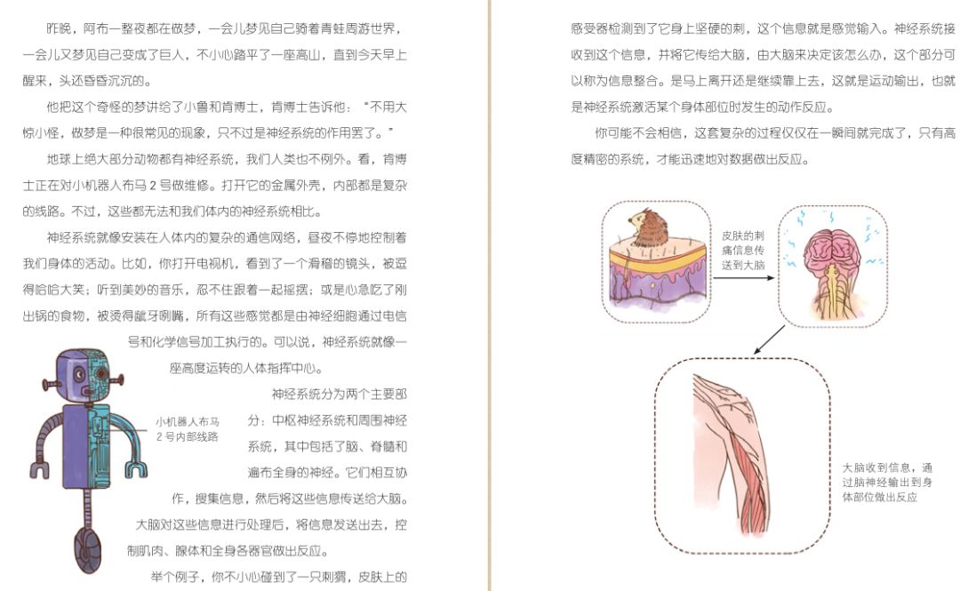 日常生活科普小故事:轻松解锁身边科学奥秘,让知识像聊天一样有趣 日常生活科普小故事:轻松解锁身边科学奥秘,让知识像聊天一样有趣
