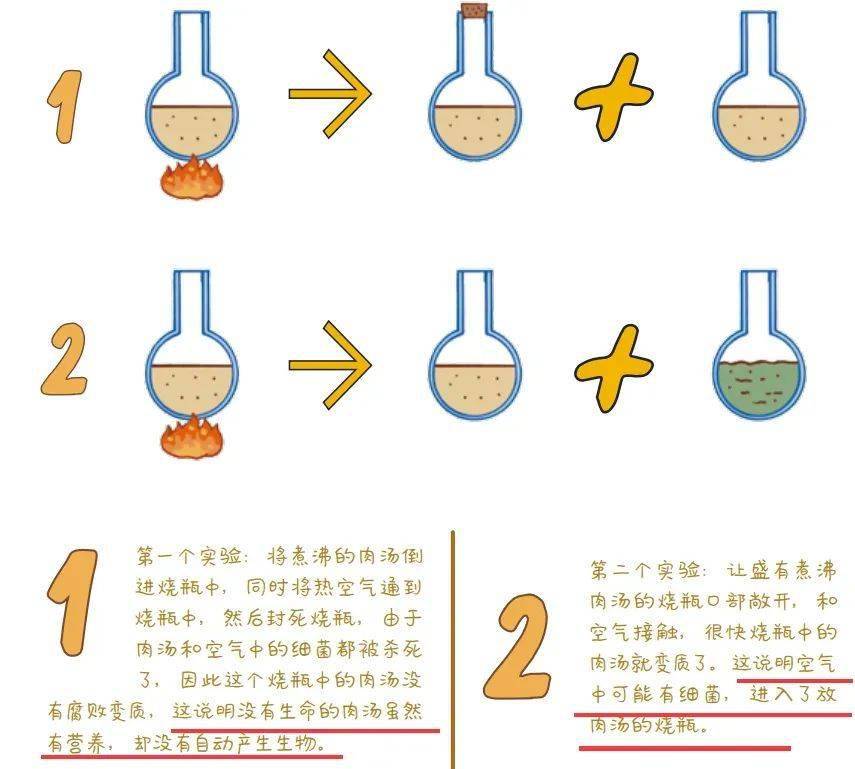 生活中科普小故事:轻松掌握科学原理,让知识变得有趣又实用 生活中科普小故事:轻松掌握科学原理,让知识变得有趣又实用