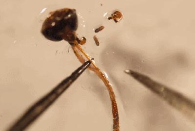 生活科普素材:让科学知识轻松融入日常,解决生活中的实际问题 生活科普素材:让科学知识轻松融入日常,解决生活中的实际问题