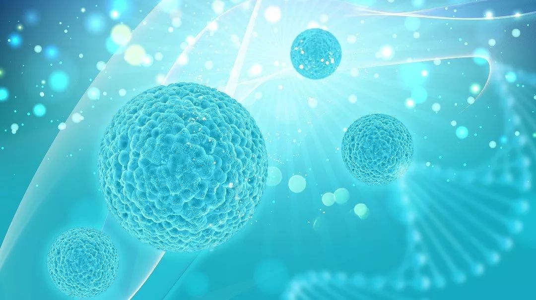 科普视频的目的：激发兴趣、培养思维、弥补教育不足，让科学触手可及