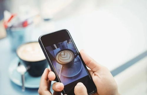 科普小视频怎么拍？零基础也能轻松上手，手机拍出专业感