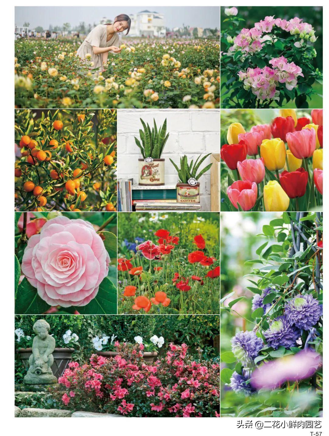 生活百科有哪些?掌握这些实用知识,让日常生活更轻松快乐 生活百科有哪些?掌握这些实用知识,让日常生活更轻松快乐