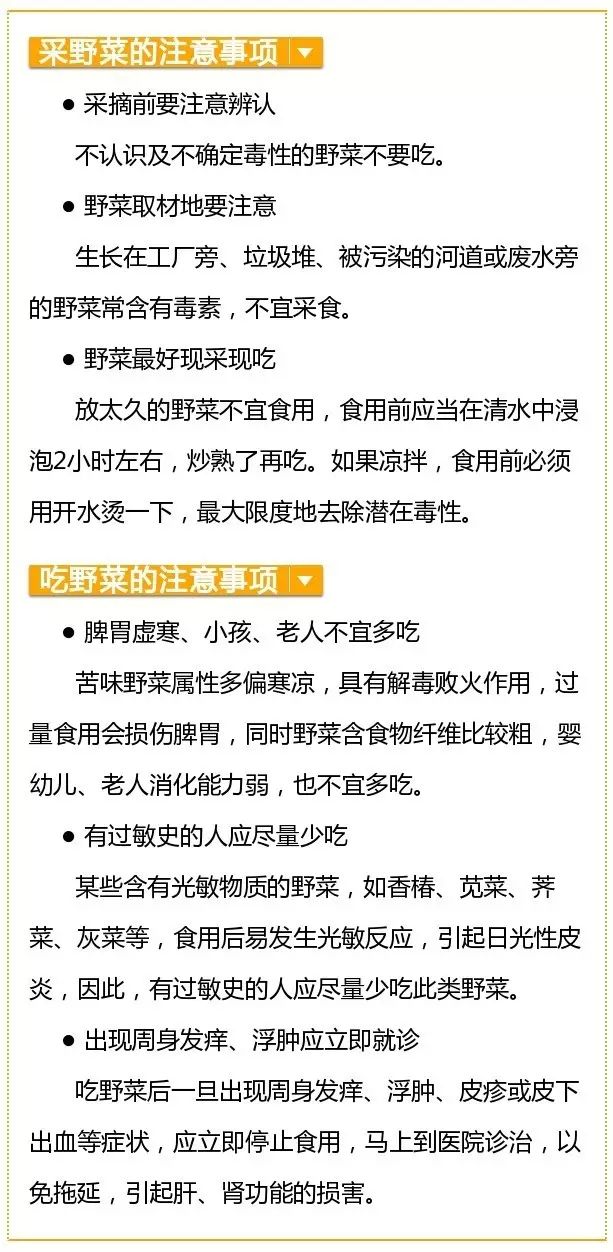生活科普文章推荐范文:轻松掌握写作技巧,让科学知识变实用生活指南 生活科普文章推荐范文:轻松掌握写作技巧,让科学知识变实用生活指南