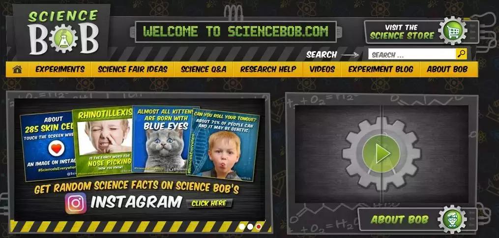 生活科普知识网站有哪些?精选权威平台帮你轻松获取实用知识 生活科普知识网站有哪些?精选权威平台帮你轻松获取实用知识