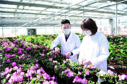 生活科普小知识内容摘抄：高效笔记与资源筛选全攻略