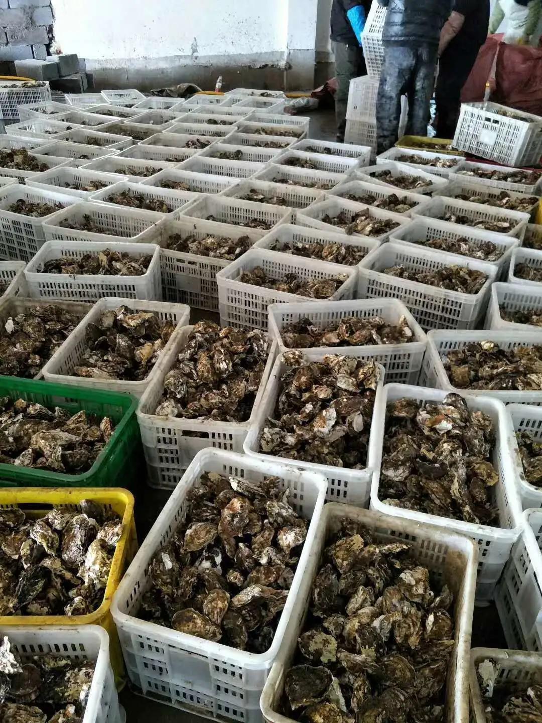 生活科普小知识内容摘抄：高效笔记与资源筛选全攻略