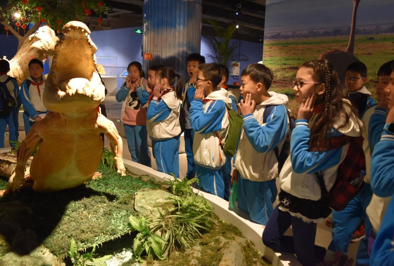 生活科普世界百科知识答案：解锁日常科学奥秘，让生活更轻松有趣