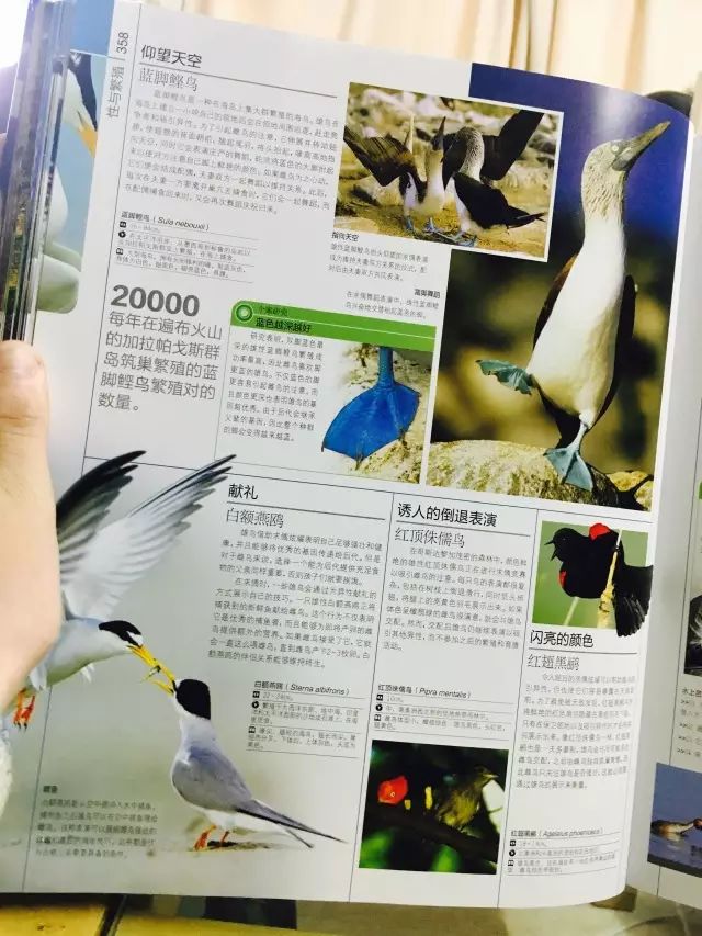 生活科普世界百科知识有哪些?掌握这些实用百科知识,让生活更轻松快乐 生活科普世界百科知识有哪些?掌握这些实用百科知识,让生活更轻松快乐