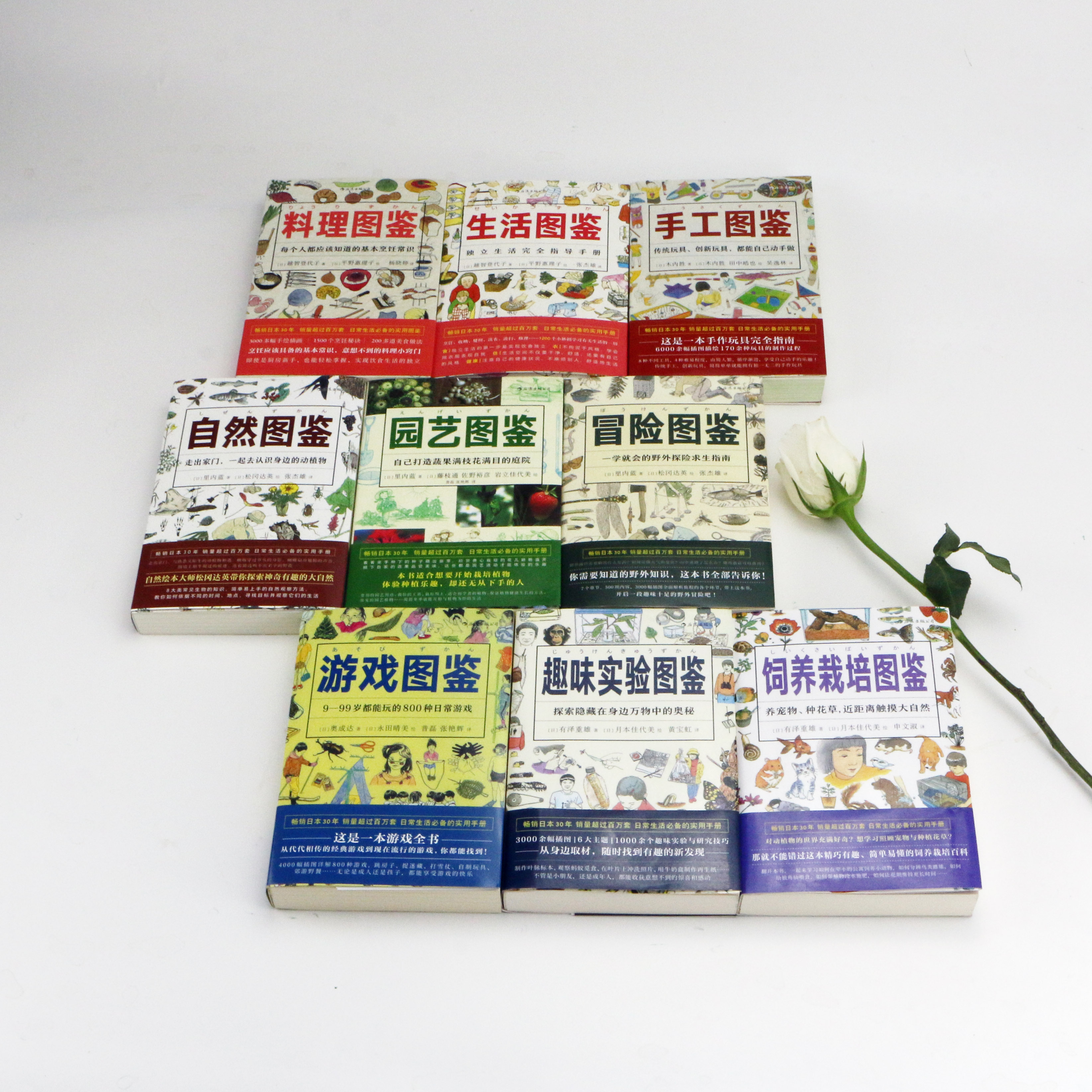 生活百科全书：让日常难题迎刃而解的智慧伙伴