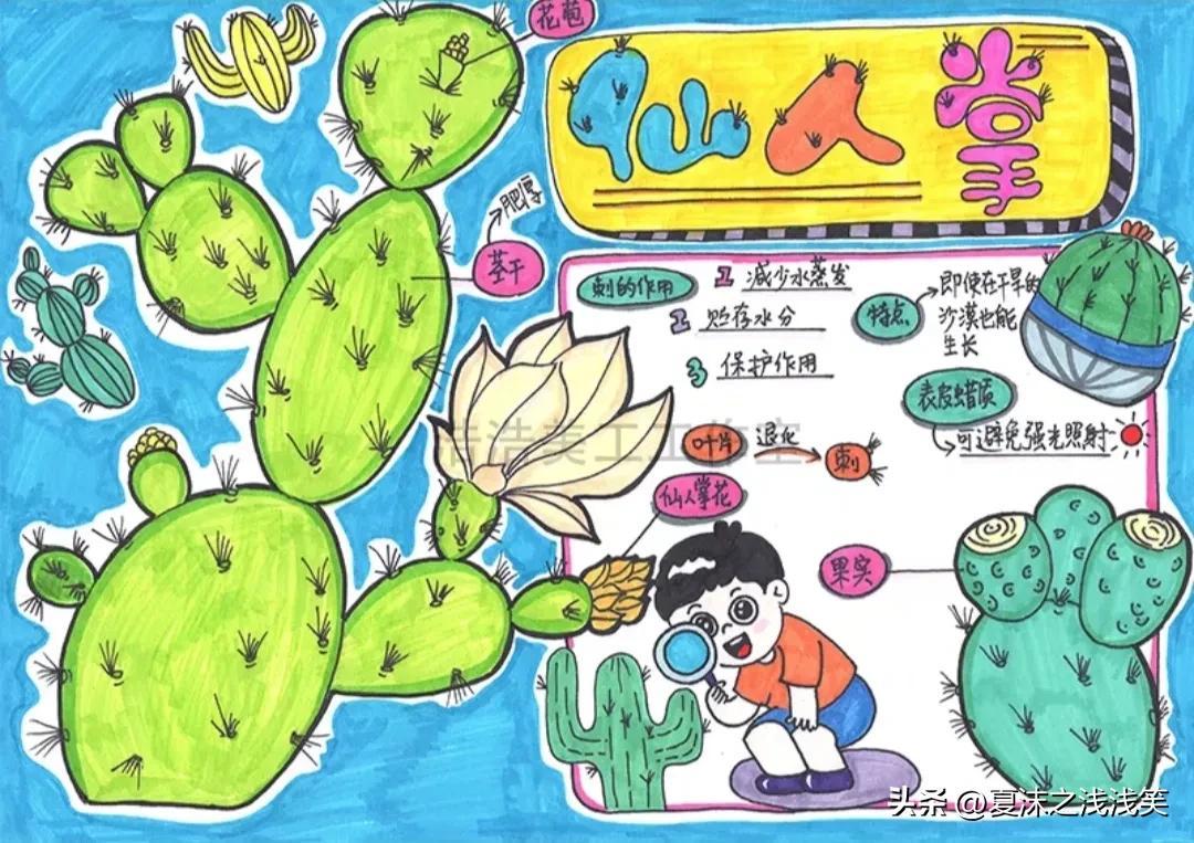 科普生活手抄报制作全攻略:从版面设计到内容编排,轻松打造吸睛作品 科普生活手抄报制作全攻略:从版面设计到内容编排,轻松打造吸睛作品