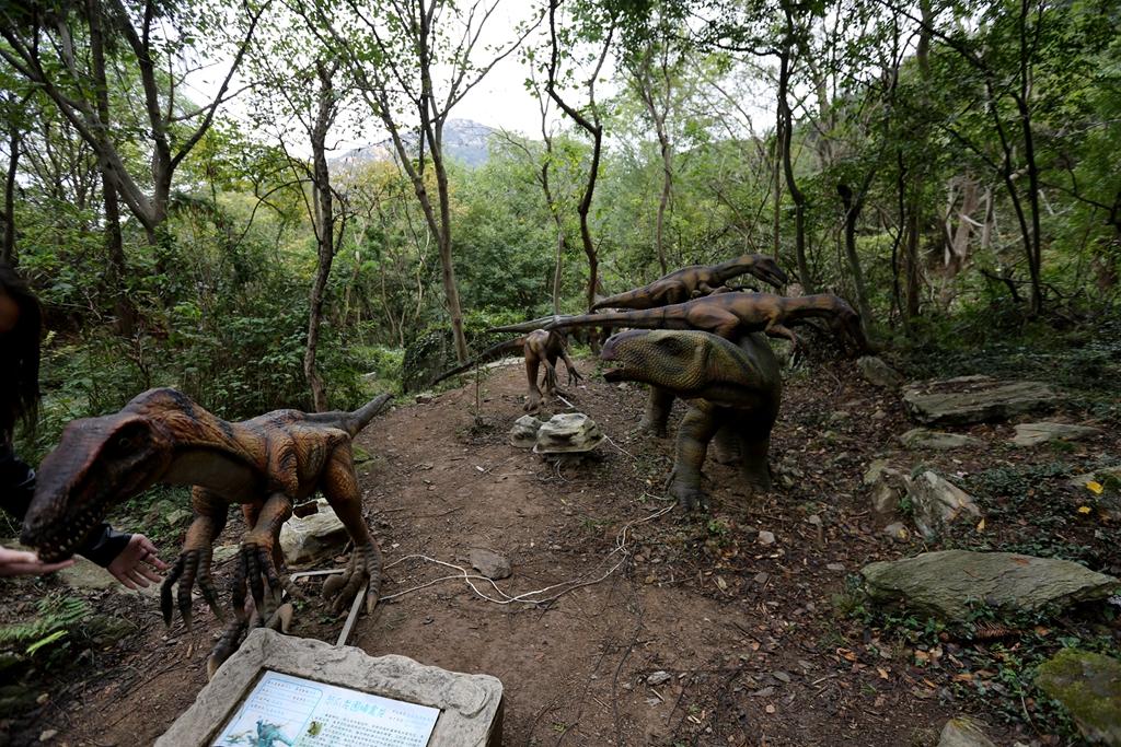 生活科普资料有哪些？让科学知识成为你随时可用的生活智慧伙伴