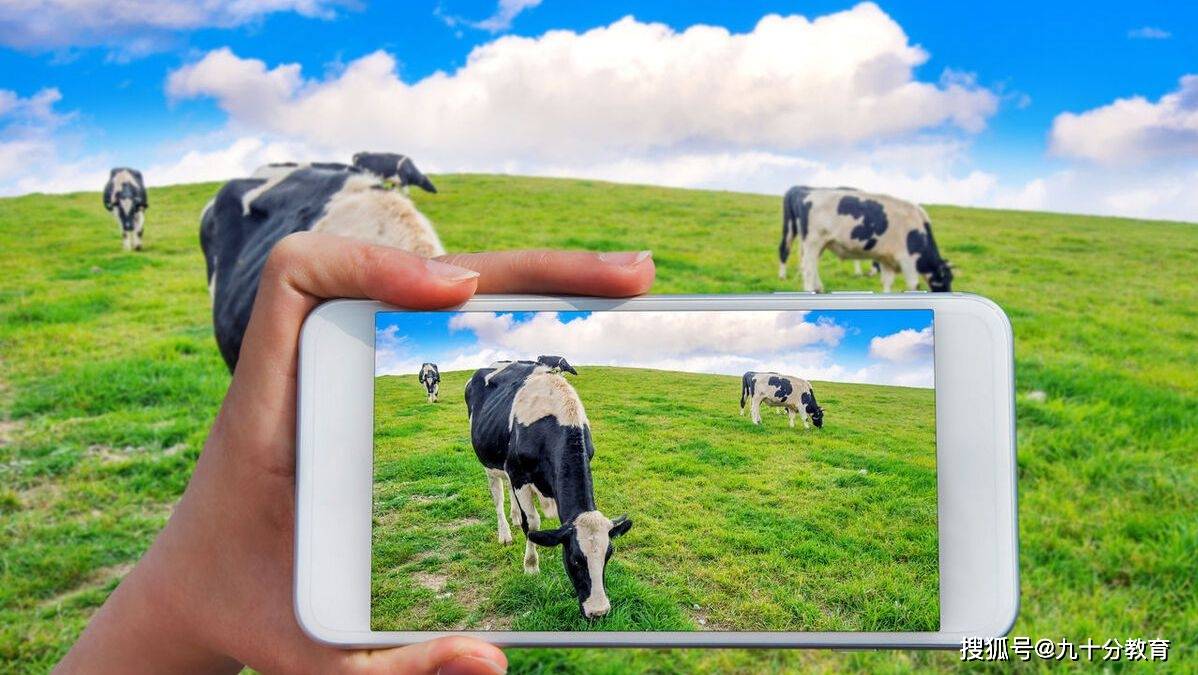 生活科普视频怎么制作好看?5个技巧让你轻松拍出爆款视频 生活科普视频怎么制作好看?5个技巧让你轻松拍出爆款视频