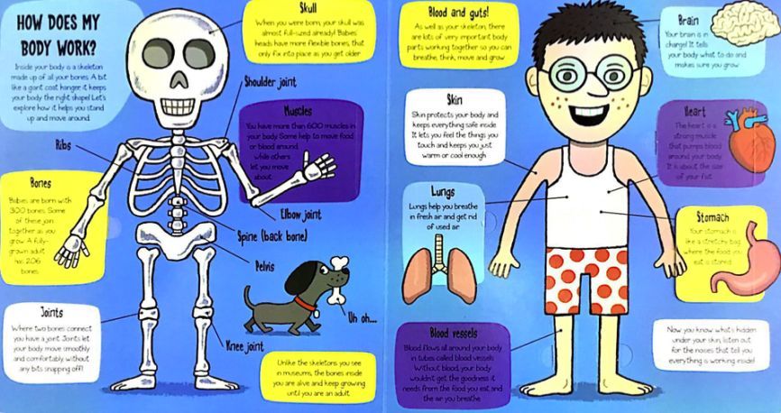 生活科普视频怎么制作教程:从零开始轻松创作有趣科学内容 生活科普视频怎么制作教程:从零开始轻松创作有趣科学内容