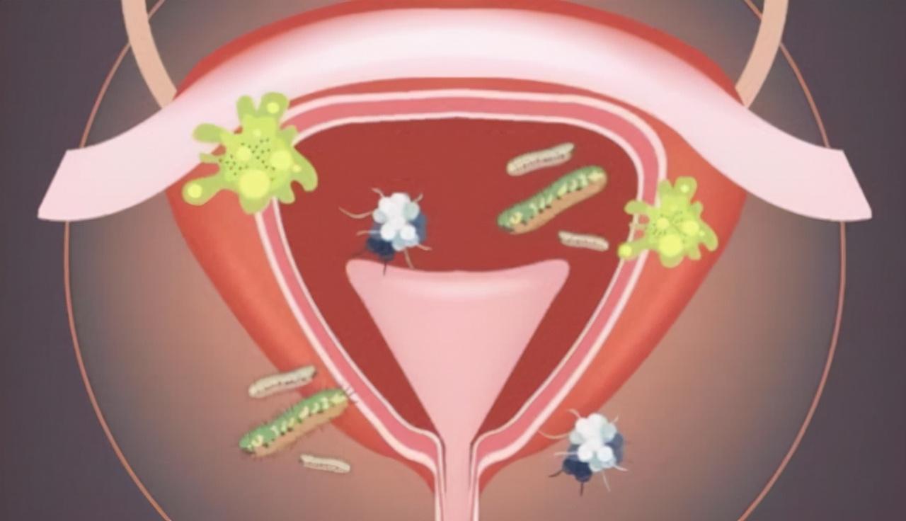 生活科普视频素材下载大全:免费高清资源与专业平台推荐,解决素材寻找难题 生活科普视频素材下载大全:免费高清资源与专业平台推荐,解决素材寻找难题